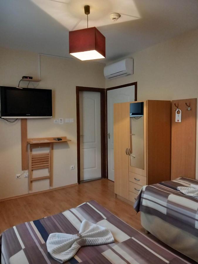 Hotel Kata Panzio Oroszlány Exteriér fotografie
