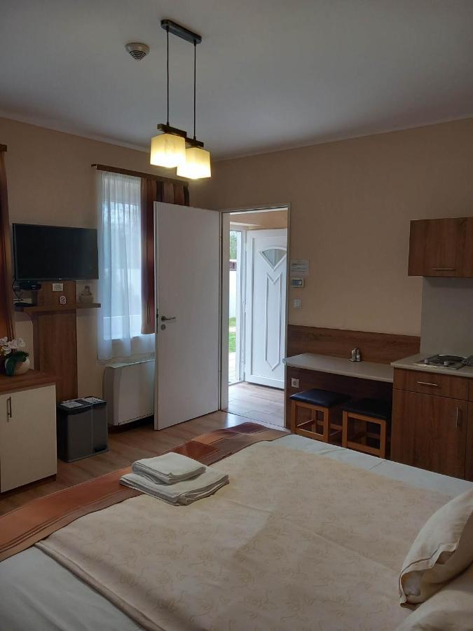 Hotel Kata Panzio Oroszlány Exteriér fotografie