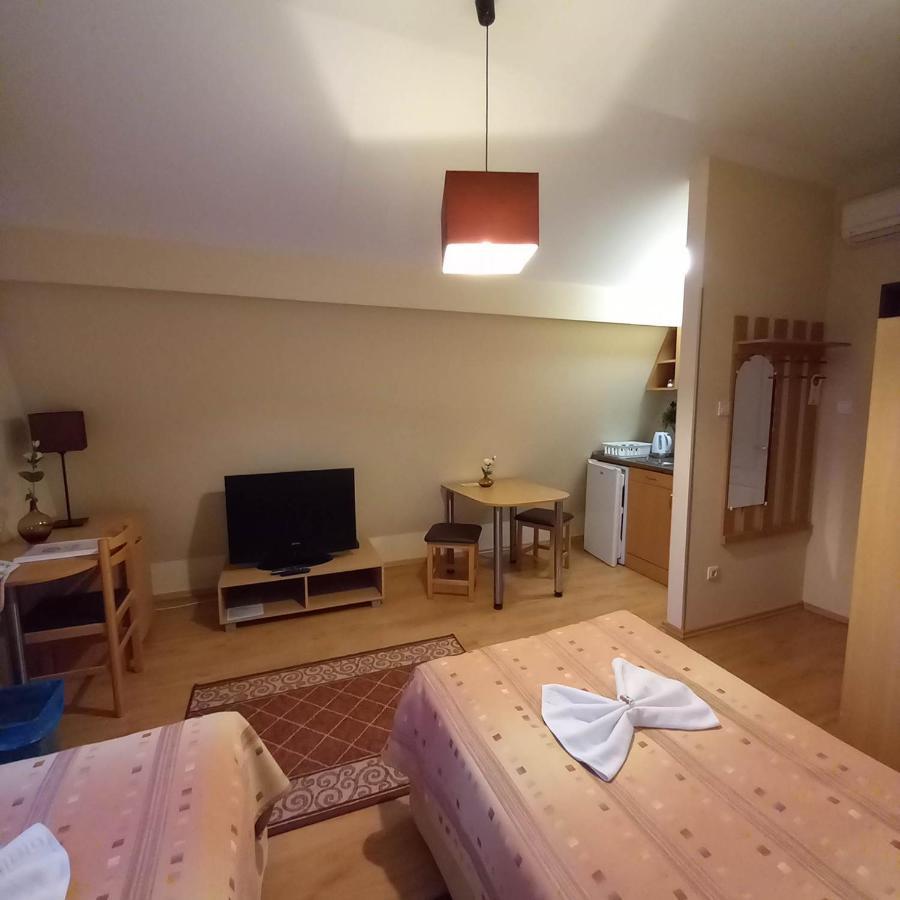 Hotel Kata Panzio Oroszlány Exteriér fotografie